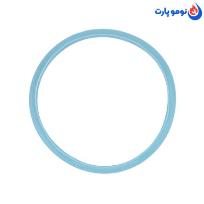 واشر زودپز دسینی_Dessini